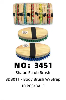 NO：3451 BDB011 鞋刷 带把刷子 10PCS/BALE