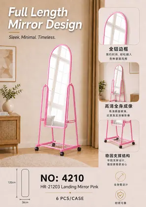 NO：4210 粉红色落地镜 6PCS/CASE