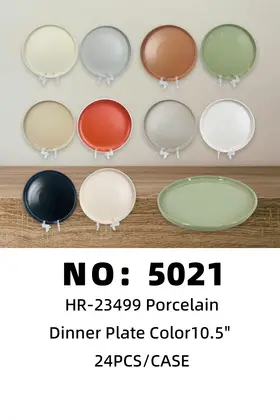 NO：5021 10.5寸色釉盘 陶瓷盘 24PCS/CASE