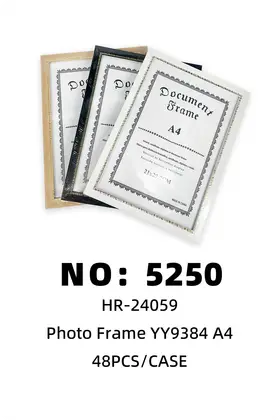 NO：5250 A4相框21*29.7 48PCS/CASE