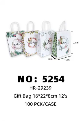 NO：5254 生日礼品袋16*22*8cm 100PCK/CASE