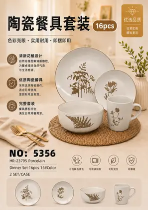 NO：5356 16头色釉陶瓷套装 2SET/CASE