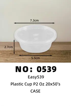 NO：0539  Easy539 一次性塑料饭盒 CASE