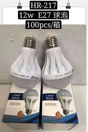 NO：5707 12W球泡灯泡 100PCS/CASE