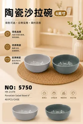 NO：5750 亮光6寸碗 陶瓷碗 48PCS/CASE