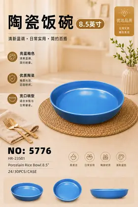 NO：5776 8.25寸碗 陶瓷碗 24/30PCS/CASE
