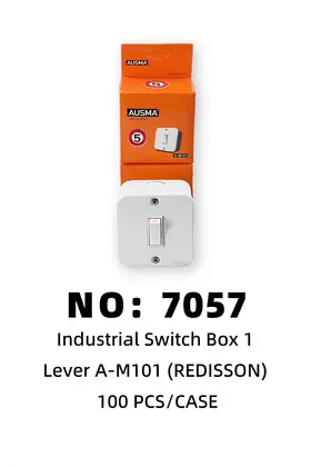 NO：7057 A-M101 2*2 一开+开关盒 100PCS/CASE