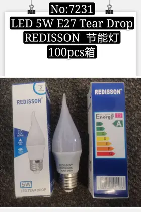 NO：7231 REDISSON 5W节能灯LED 100PCS/CASE
